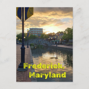 Cartão Postal Carroll Creek Frederick Maryland #3