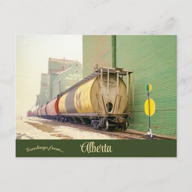 Cartão Postal Carros de grão no rio Espírito Alberta Canadá (Frente)