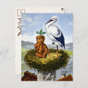 Cartão Postal Carrot Baby Vitoriano num Cartolo Ninho