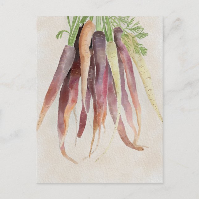 Cartão Postal Carrots, 5x7 Post Card (Frente)
