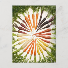 Cartão Postal Carrots Colorful Garden Patterno