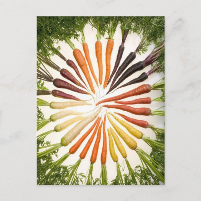 Cartão Postal Carrots Colorful Garden Patterno (Frente)