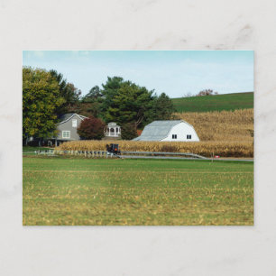 Cartão Postal Carruagem Amish, Condado de Holmes, Ohio