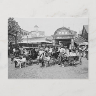 Cartão Postal Carruagens de Cabra em Coney Island, 1910