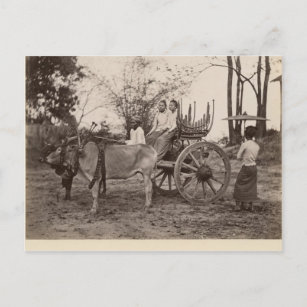 Cartão Postal Cart pulled by two oxen at Mandalay, Burma
