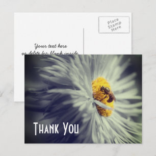 Cartão Postal Carta de Agradecimento com Foto de Abelha Perto da