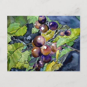 Cartão Postal carta postal de arte de natureza-morta de fruta de