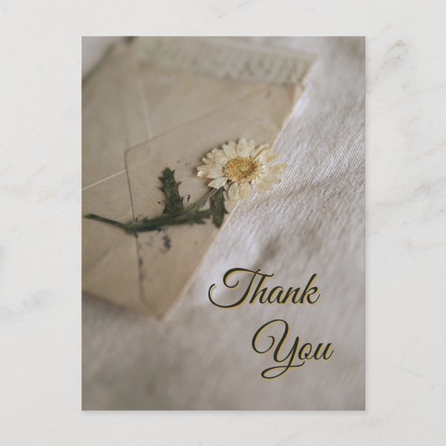 Cartão Postal Carta Vintage Margarida Branca e Amarela (Frente)