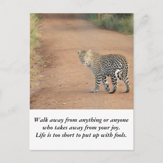 Cartão Postal Cartão: A vida é muito curta (Frente)