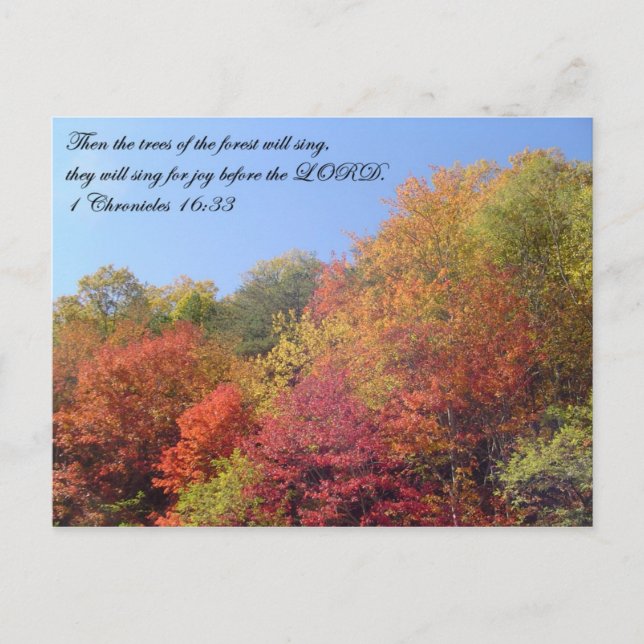 Cartão Postal Cartão: As árvores cantam (Frente)