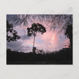 Cartão Postal Cartão: Mundo Florida do por do sol