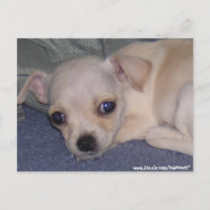 Cartão Postal Cartão-postal.