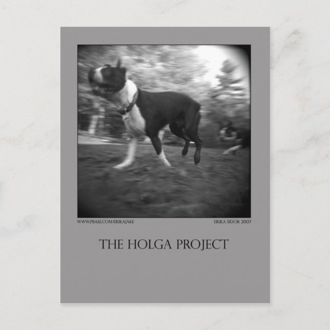 Cartão Postal Cartão-postal 15 do Parque Canino (Frente)