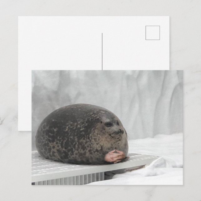 Cartão Postal Cartão-postal a julgar a memória do selo (Frente/Verso)