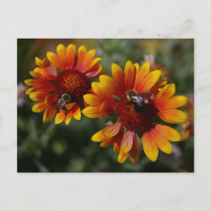 Cartão Postal Cartão-postal Abelhas e Flores Laranja