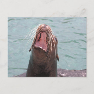 Cartão Postal Cartão-postal aberto para a boca do mar