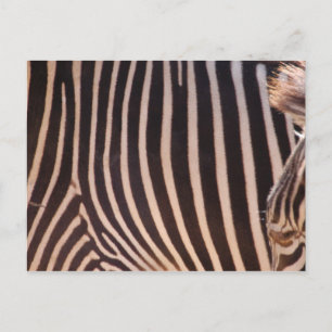 Cartão Postal Cartão-postal abstrato Stripes