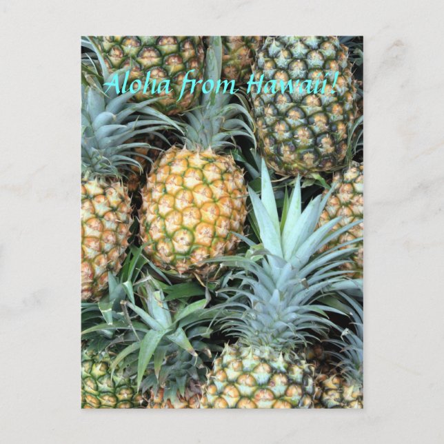 Cartão Postal Cartão-postal "Aloha do Havaí" (Frente)