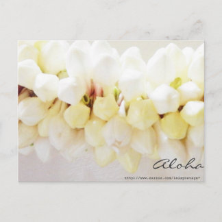 Cartão Postal Cartão-postal Aloha e Mahalo
