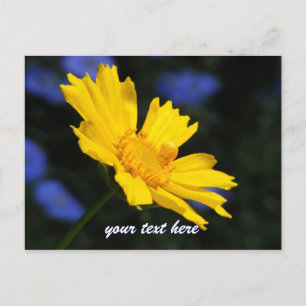 Cartão Postal Cartão-postal amarelo