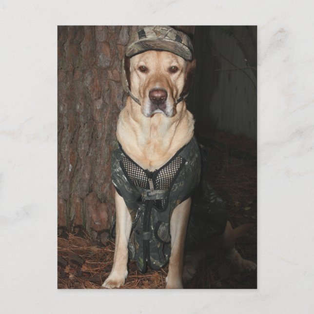 Cartão Postal Cartão-postal amarelo de caça (Frente)