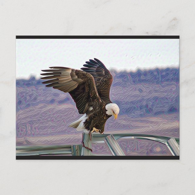 Cartão Postal Cartão-postal americano Bald Eagle (Frente)