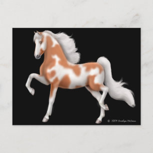 Cartão Postal Cartão-postal americano Saddlecreme