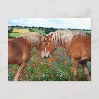 Cartão Postal Cartão-Postal "Amor No Prado"
