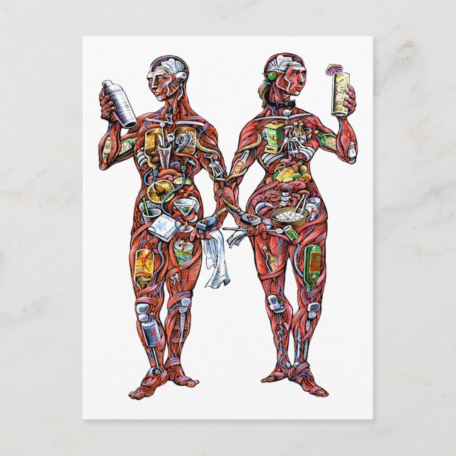 Cartão Postal Cartão-postal Anatomia do Barman (macho e fêmea) (Frente)