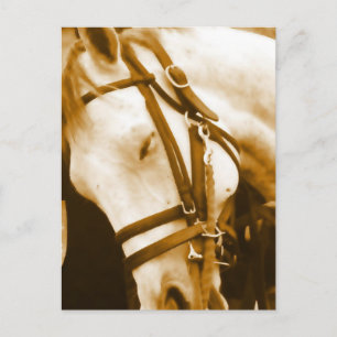 Cartão Postal Cartão-postal Andaluz