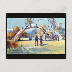 Cartão Postal Cartão-postal antigo - Adelaide, Austrália Merid