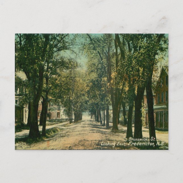 Cartão Postal Cartão-postal antigo - Fredericton, New Brunswick (Frente)