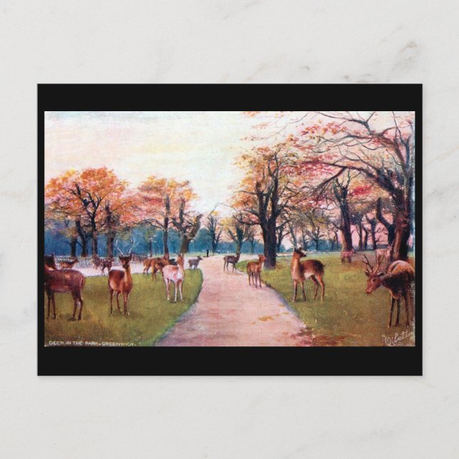 Cartão Postal Cartão-postal antigo - Greenwich Park, Londres (Frente)
