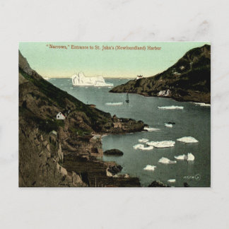Cartão Postal Cartão-postal antigo - John da Rua, Terra Nova