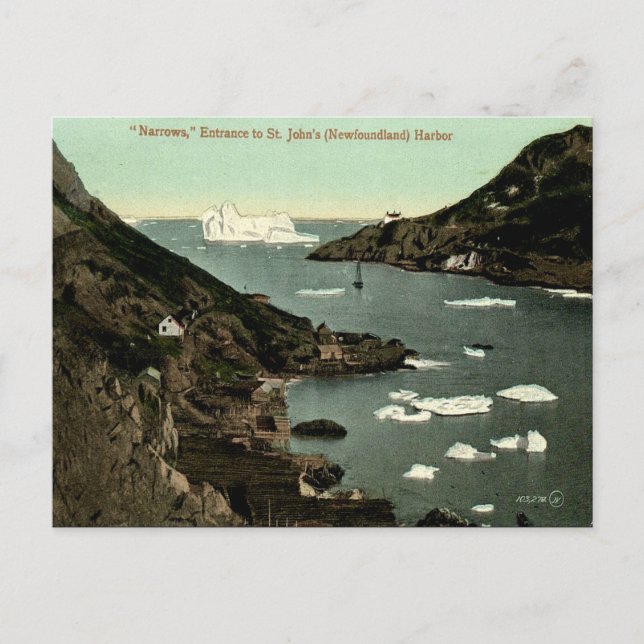 Cartão Postal Cartão-postal antigo - John da Rua, Terra Nova (Frente)