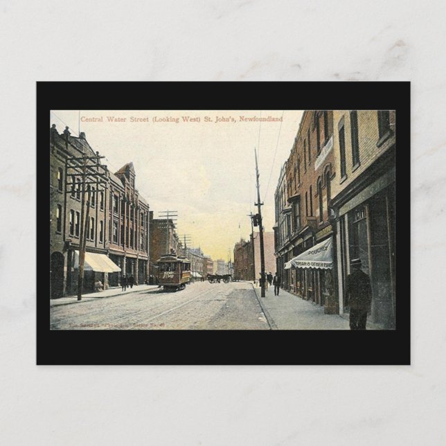 Cartão Postal Cartão-postal antigo - John da Rua, Terra Nova (Frente)