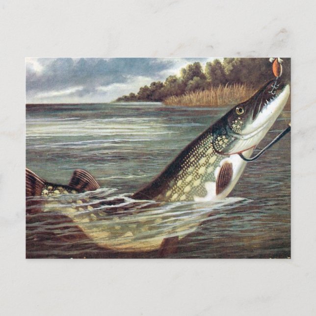 Cartão Postal Cartão-postal antigo - Pike (Frente)