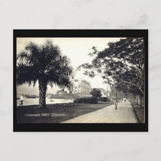 Cartão Postal Cartão-postal antigo - Singapura (Frente)