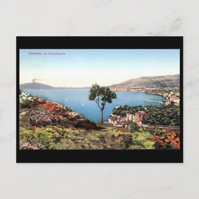 Cartão Postal Cartão-postal antigo - Sorrento, Itália (Frente)