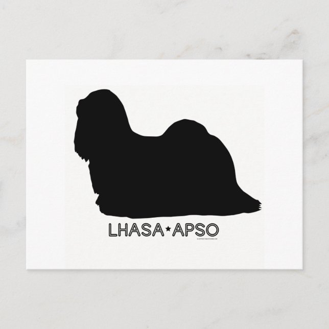 Cartão Postal Cartão-postal Apso Lhasa (Frente)