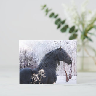 Cartão Postal Cartão-postal "Árvores de Raphael e Snowy"