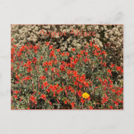 Cartão Postal Cartão-postal August Ablaze