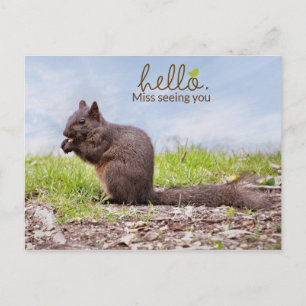 Cartão Postal Cartão-postal Ausente