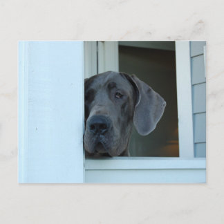 Cartão Postal Cartão-postal Ausente