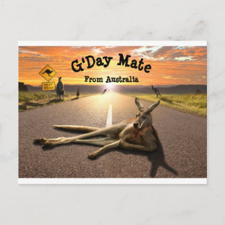 Cartão Postal Cartão-postal Aussie Kangaroo