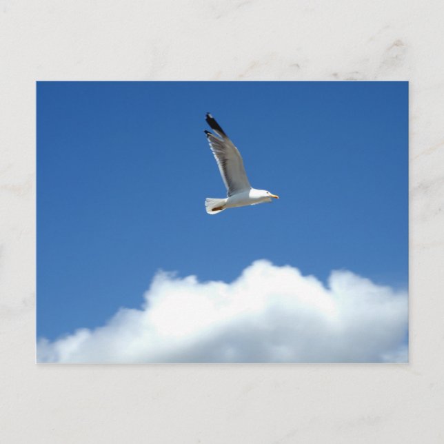 Cartão Postal Cartão-postal autônomo (Frente)