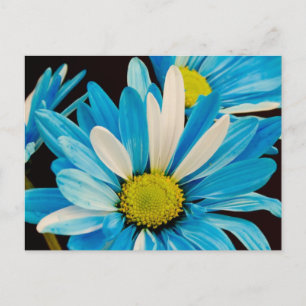 Cartão Postal Cartão-postal Azul Flores