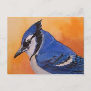 Cartão Postal Cartão-postal azul-jay