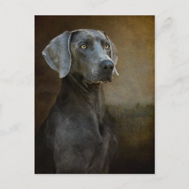 Cartão Postal Cartão-postal Azul Renascentista (Frente)