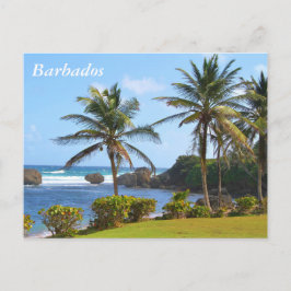 Cartão Postal Cartão-postal, Barbados, Cena de Praia, Palmeiras
